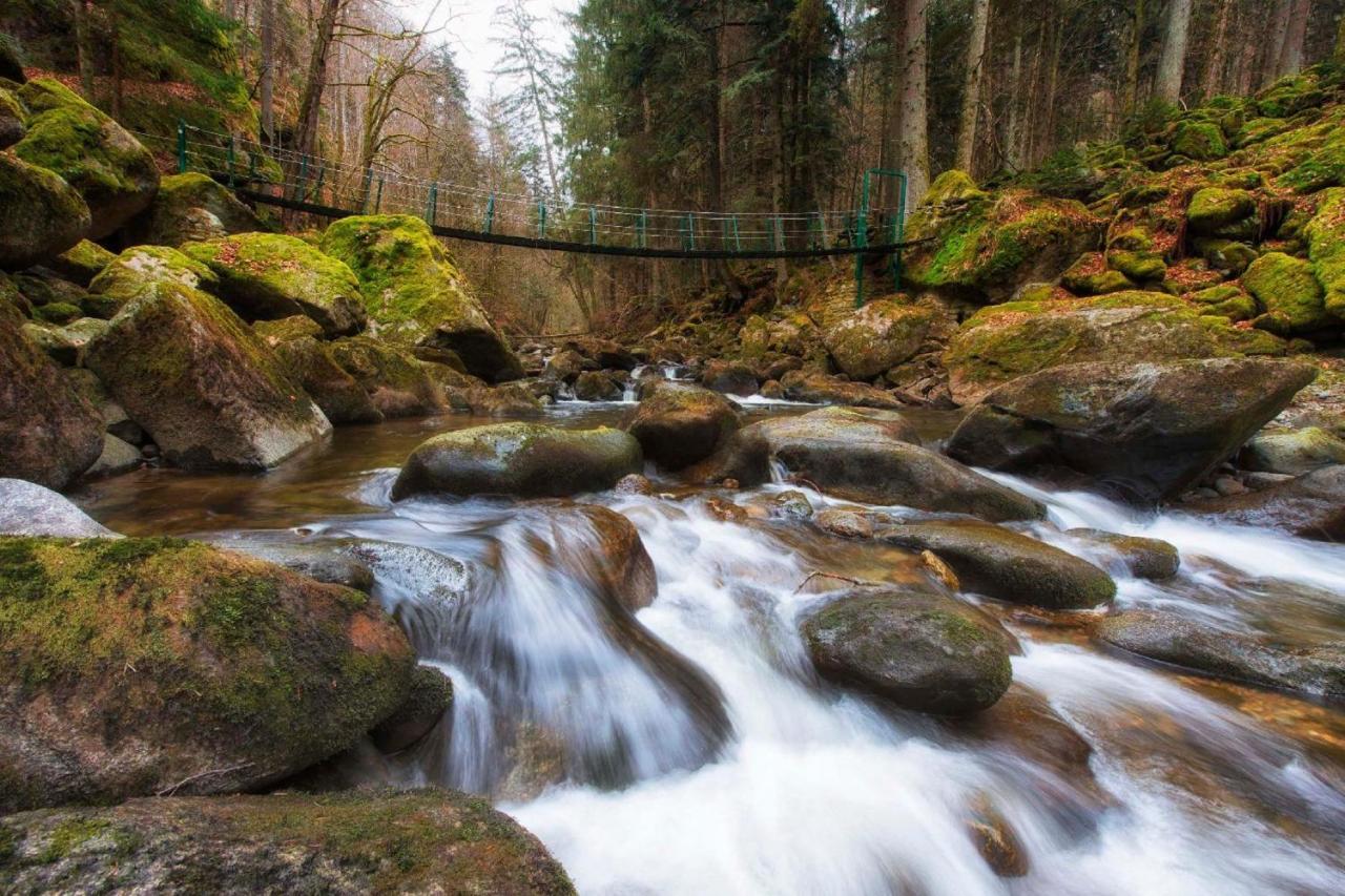 Ferienwohnung Geyersberg Inklusive Aktivcard Bayerischer Wald فرايونغ المظهر الخارجي الصورة