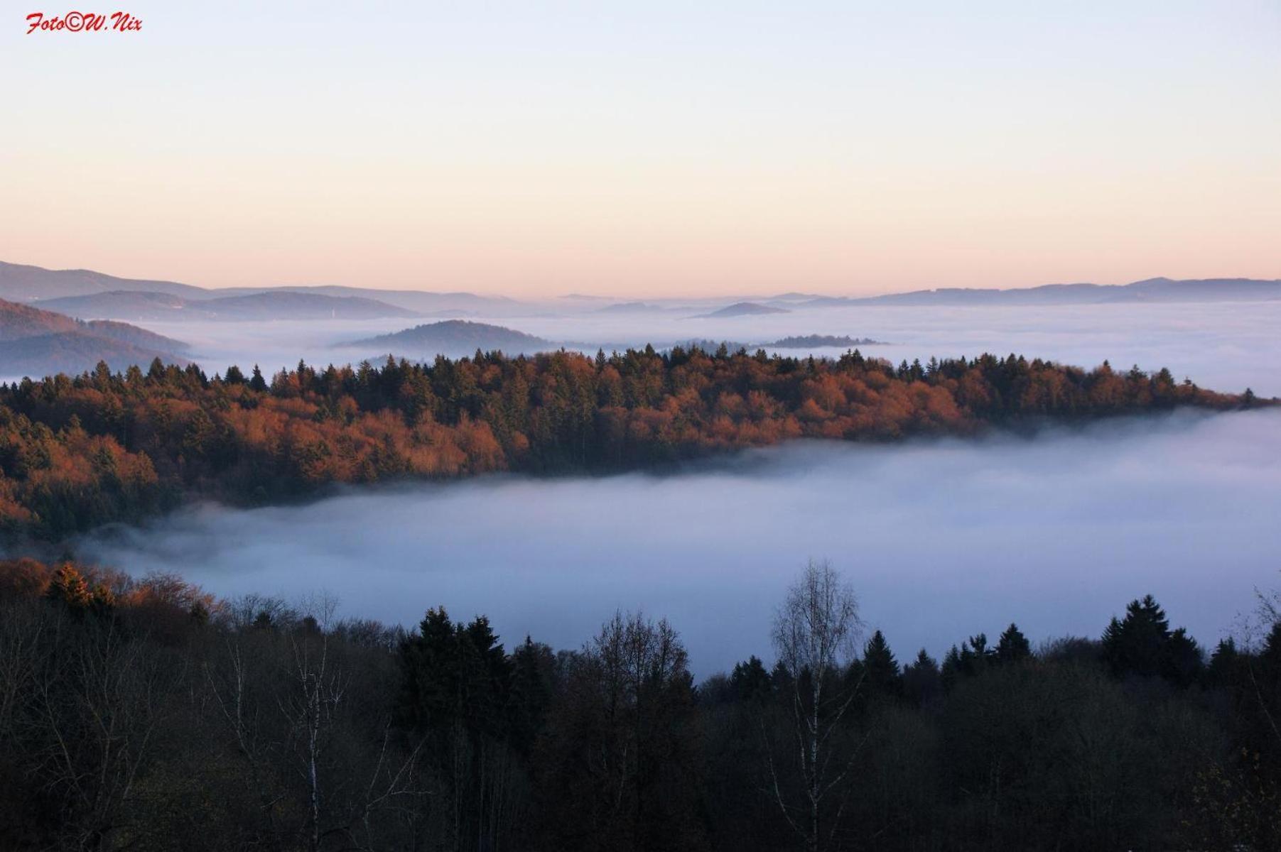 Ferienwohnung Geyersberg Inklusive Aktivcard Bayerischer Wald فرايونغ المظهر الخارجي الصورة